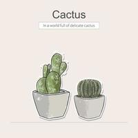 Hand drawn colored pencil with catus vector