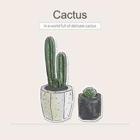 Colored pencil with catus vector