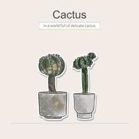 Hand drawn colored pencil with catus vector
