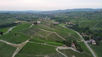 vista aérea do vinhedo em langhe, piemonte, itália video