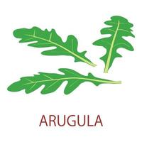 Arugula icon, isometric style vector