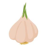 Garlic icon, cartoon style vector