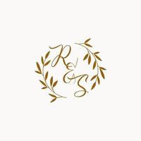 RS initial wedding monogram logo vector