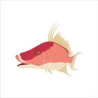 plantilla de vector de pez cerdo. genial para usar como su actividad de pesca de hogfish.