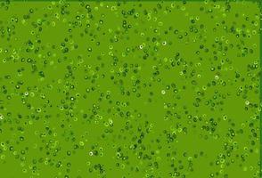 Light Green vector pattern with spheres.