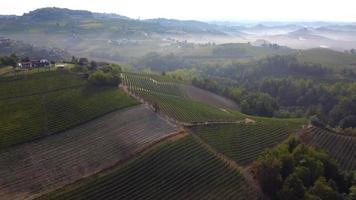 vue aérienne du vignoble à langhe, piémont italie video