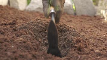 boer die een troffelschoffel gebruikt en de grond voorbereidt voor de biologische landbouw. de grond schoffelen video