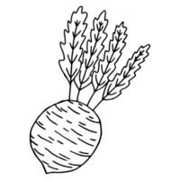 Beetroot doodle icon. Hand drawn black sketch. Vector Illustration.