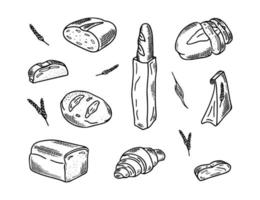 Hand drawn bakery doodles set. Sketch vector illustration of bread isolated on white background.