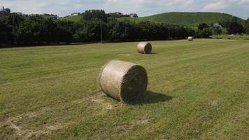 balles de foin dans le champ de l'agriculture agricole à l'été video