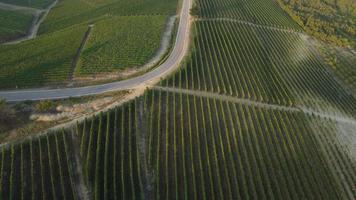 castelo grinzane cavour e vista aérea de vinhedos em langhe, piemonte itália video