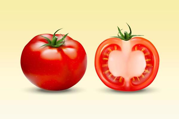 Fresh tomatoes on yellow background in 3d illustration