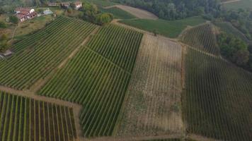 vue aérienne du vignoble à langhe, piémont italie