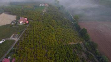 vista aérea do vinhedo em langhe, piemonte, itália video