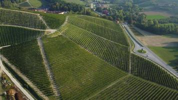 vue aérienne de la ferme de l'agriculture viticole à langhe, piémont italie