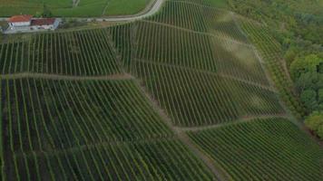 Grinzane Cavour Castle and Vineyard aerial view in Langhe, Piedmont Italy video