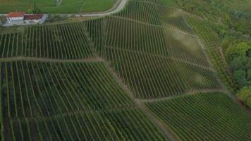 vista aérea del castillo y viñedos de granzane cavour en langhe, piamonte, italia video