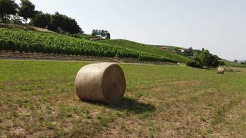 Hay Bales in Farm Agriculture Field at Summer video