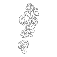 Decorative floral outline illustration isolated on png Transparent background