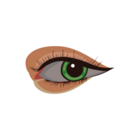 Beautiful eye illustration Isolated on png transparent background