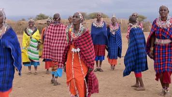 Closeup footage of masain women wearing traditional clothes and dancing. Amboseli national reserve,Kenya,Africa.August 27,2022 video