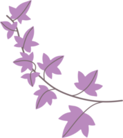 Simplicity ivy freehand drawing png