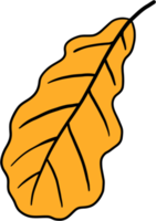 simplicity maple freehand drawing png