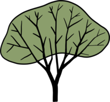 arbre de simplicité dessin à main levée png