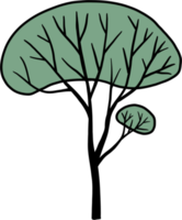 arbre de simplicité dessin à main levée png