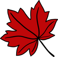 simplicity maple freehand drawing png