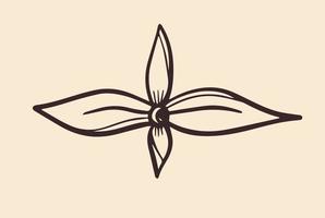 Minimalist botanic floral plant lines vector design.