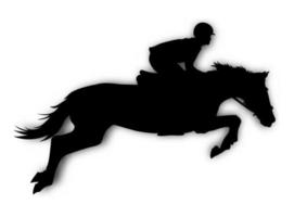 Graphics design silhouette horse racing for race isolated white background vector illustration