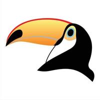 Toucan head on white background vector