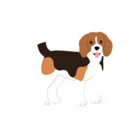 Beagle dog illustration