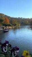 Herbstreflexionen auf dem Fluss video