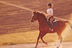 Young woman in protective hat riding her horse in agriculture field at sunny daytime photo