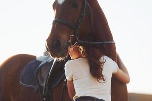 Beautiful sunshine. Young woman standing with her horse in agriculture field at daytime photo