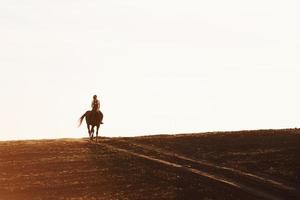 Young woman in protective hat riding her horse in agriculture field at sunny daytime photo