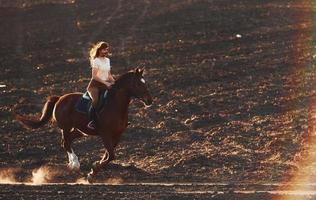 Young woman in protective hat riding her horse in agriculture field at sunny daytime photo