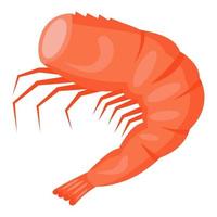 Cooked shrimp without head. Vector illustration.