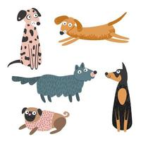 Collection of dogs dalmatian, dachshund, pug, doberman. Isolated on white background, vector illustration