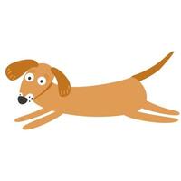 Dachshund in a jump. Isolated on white background, vector illustration