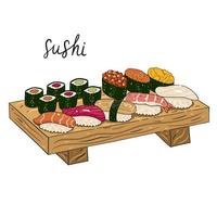 Various types of sushi, maki, gunkan served on a wooden tray isolate on a white background. Vector graphics