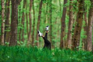 Legs of woman that have a rest and lying down on ground in forest photo