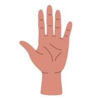 Illustration of a palm in a flat style. Hand element. vector