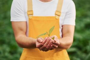 sosteniendo la planta en las manos. joven trabajador de invernadero con uniforme amarillo tiene trabajo dentro del invernadero foto