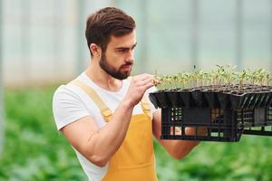 With black stand for plants in hands. Young greenhouse worker in yellow uniform have job inside of hothouse photo