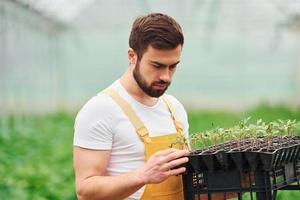 With black stand for plants in hands. Young greenhouse worker in yellow uniform have job inside of hothouse photo