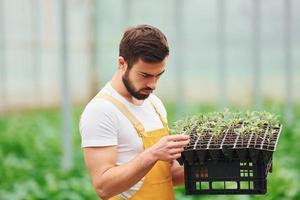 With black stand for plants in hands. Young greenhouse worker in yellow uniform have job inside of hothouse photo