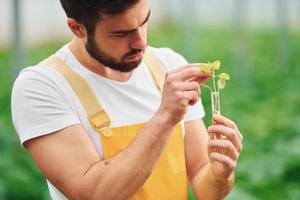 Plant inside of test tube with water. Young greenhouse worker in yellow uniform have job inside of hothouse photo